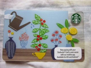 Starbucks Coffee Malaysia Asia Spring 2015 limited edition collectible card